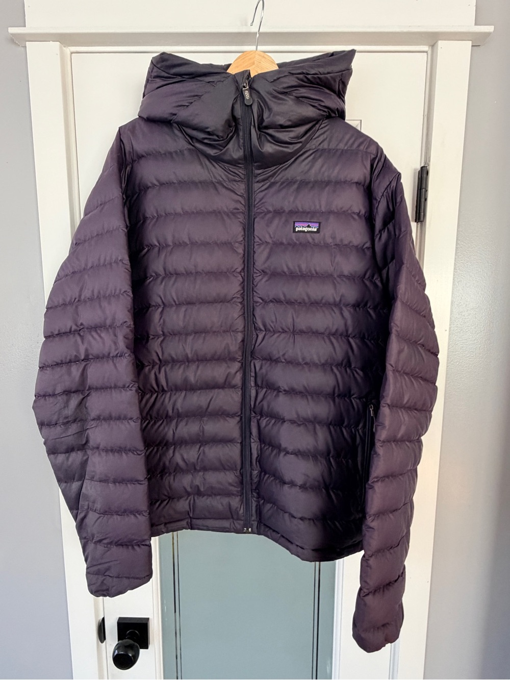 Patagonia Men's Hooded Puffer Jacket - Dark Plum
